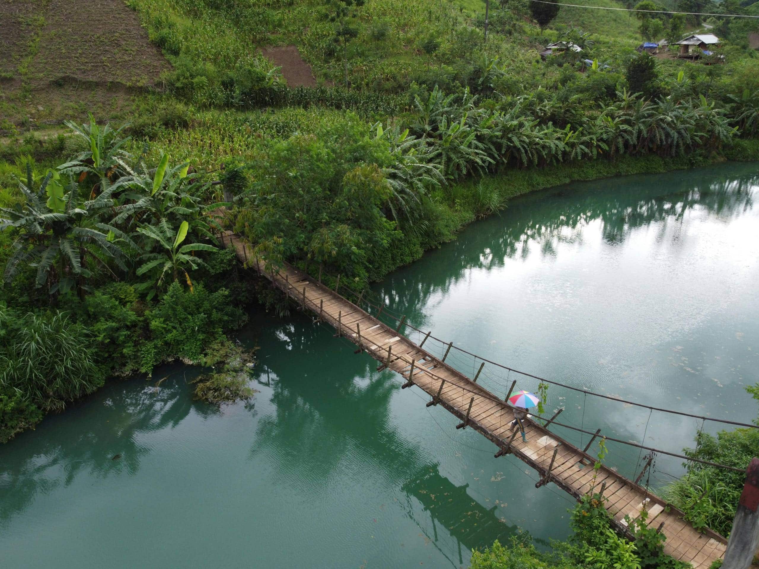 Aerial view of forest river